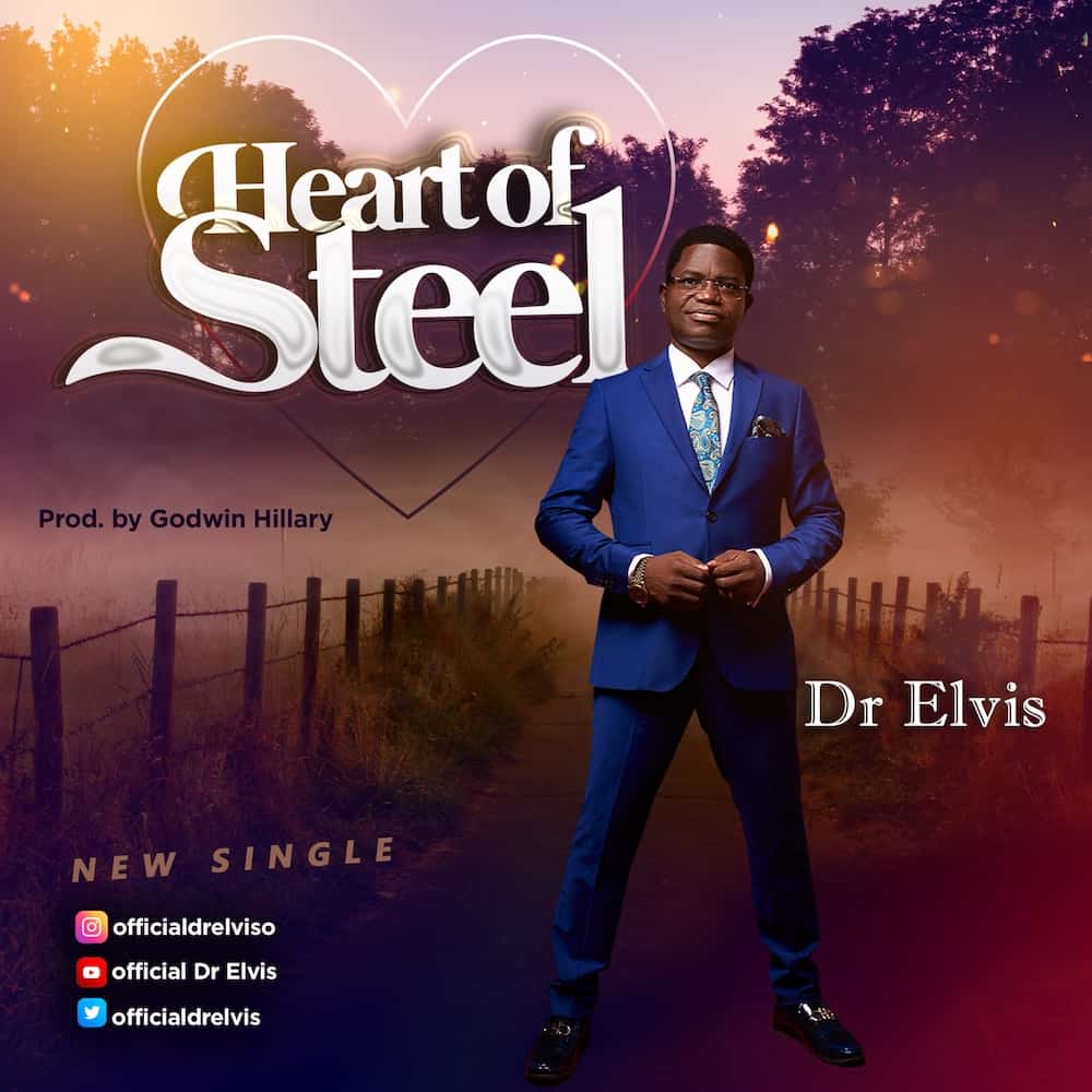 Dr Elvis - Heart of Steel